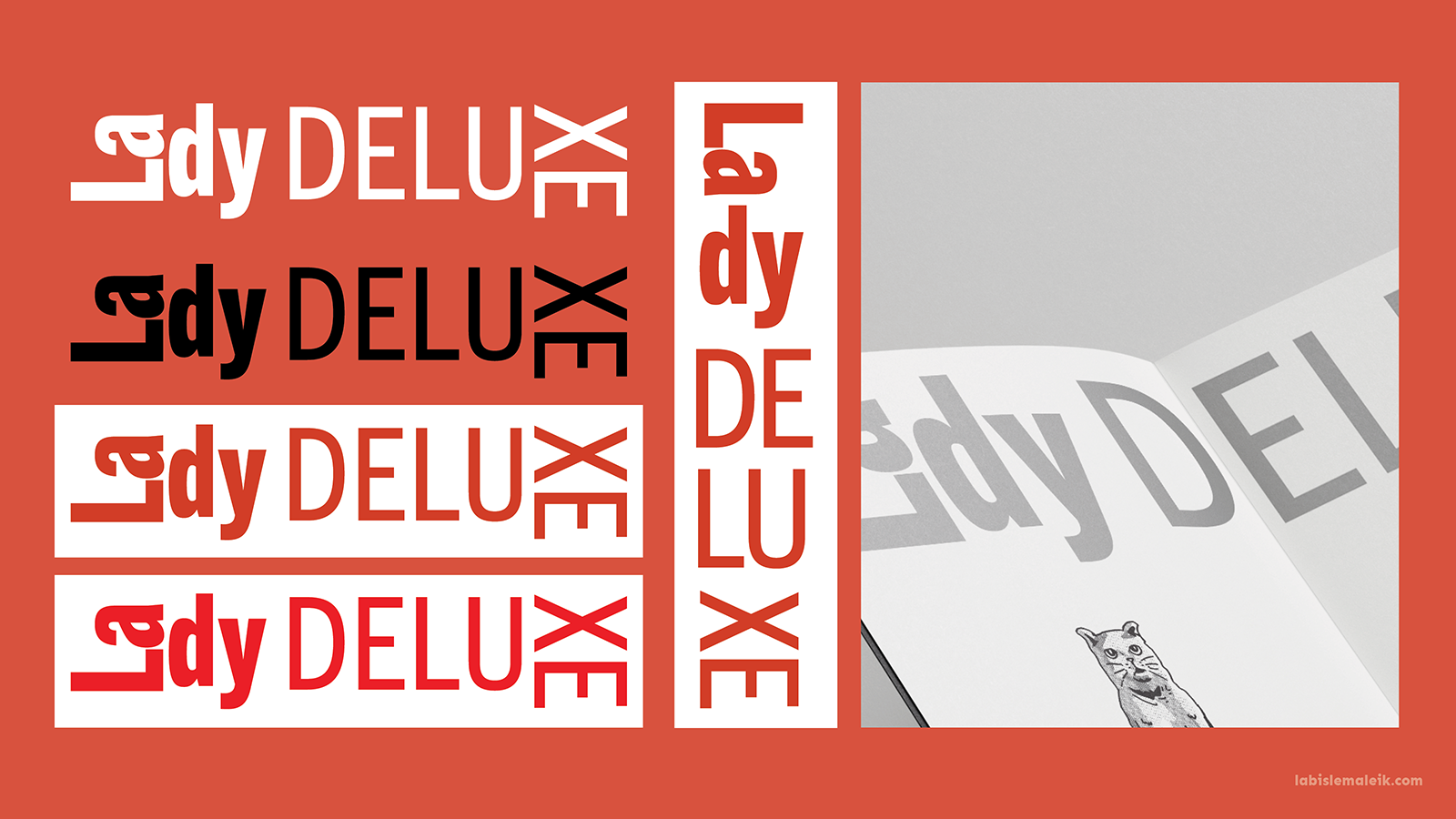 Lady DELUXE logo explorations